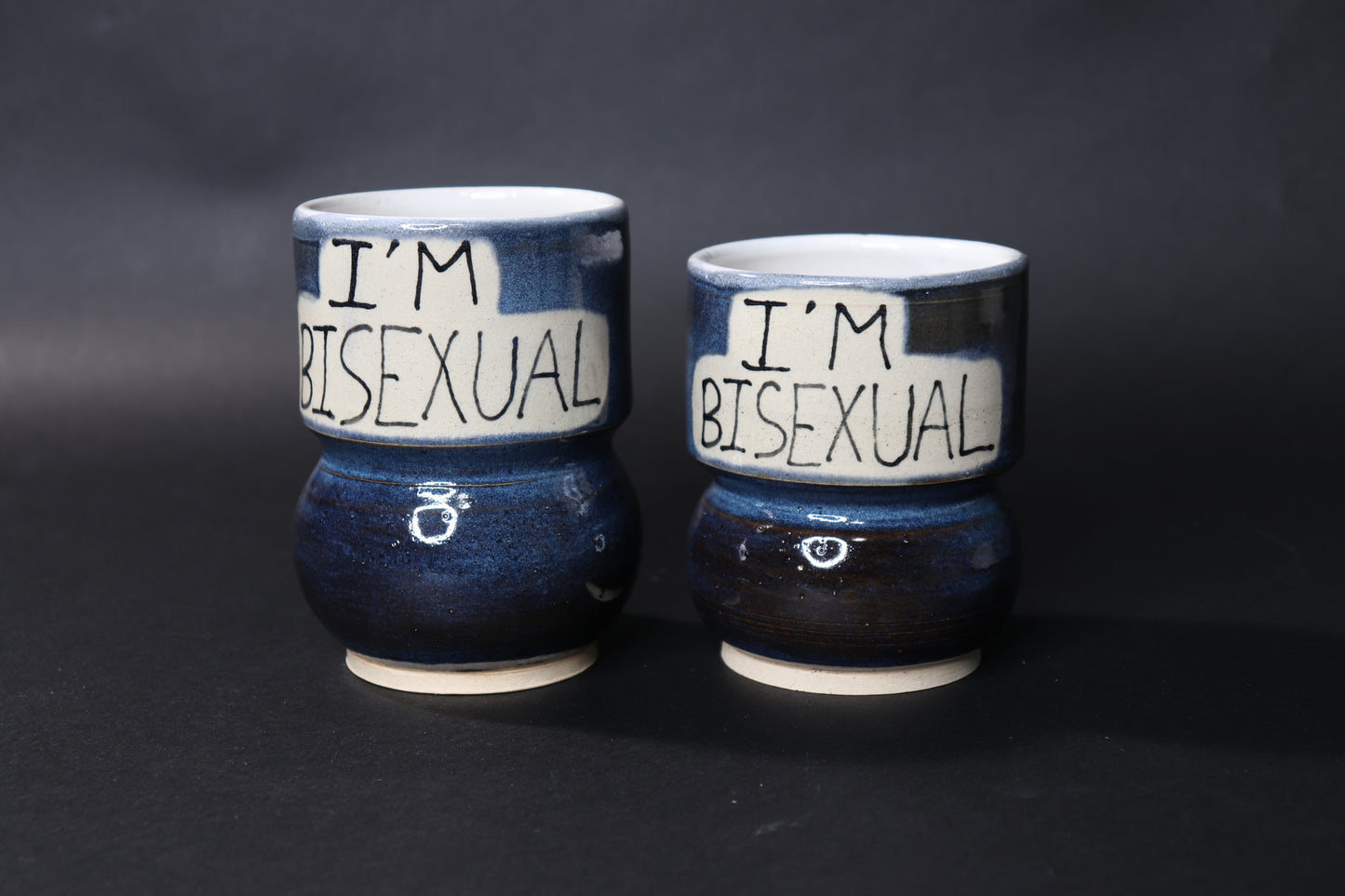 I’m Bisexual Cup