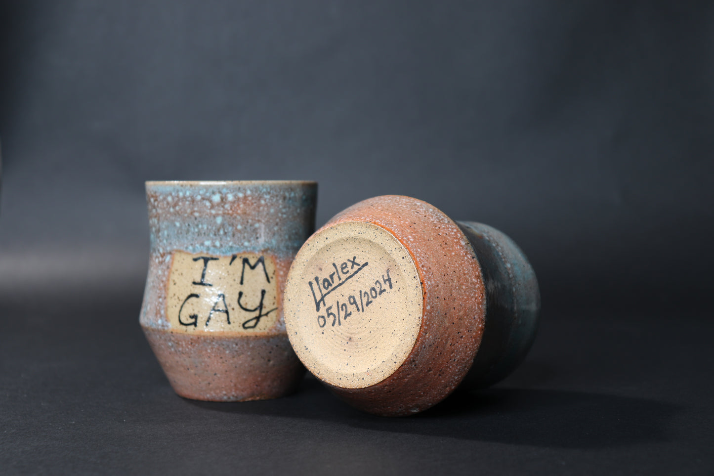 I’m Gay Cup