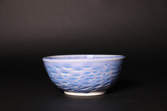 Icy Sealand Bowl