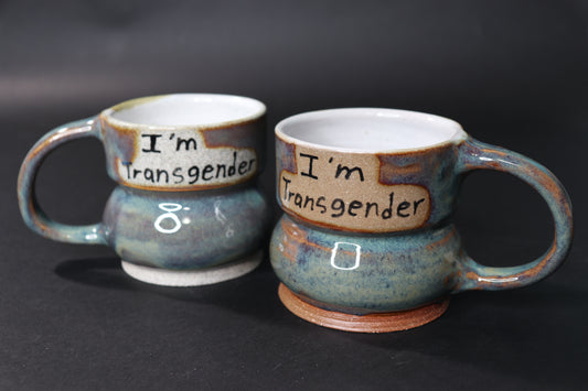 I’m Transgender Mug